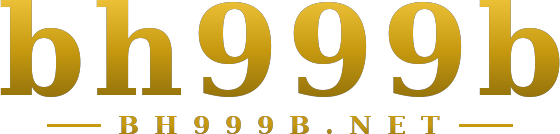 bh999b logo
